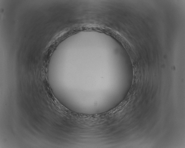 X0000081481207200701121032