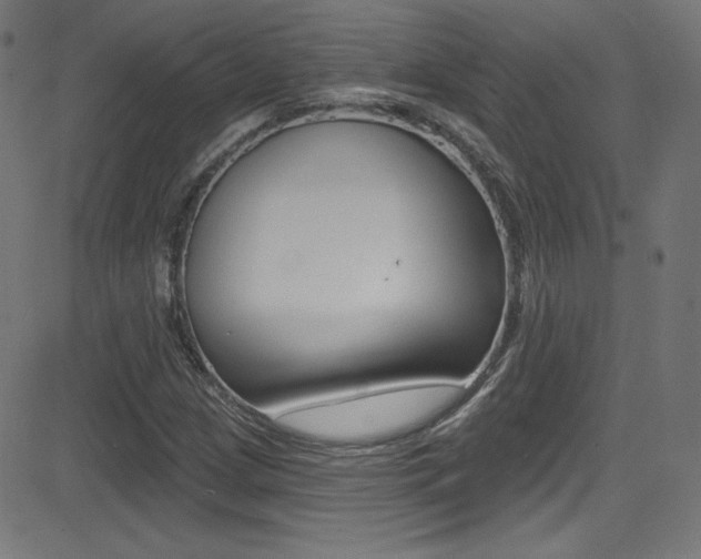 X0000081481209200701121032