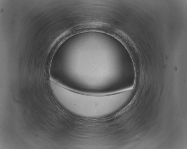 X0000081481210200701121032