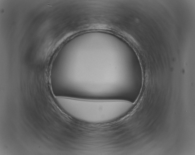 X0000081481212200701121032