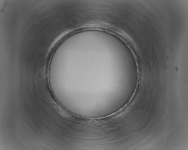 X0000081481216200701121032