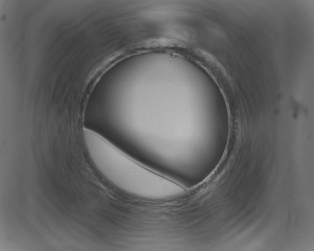 X0000081481217200701121032