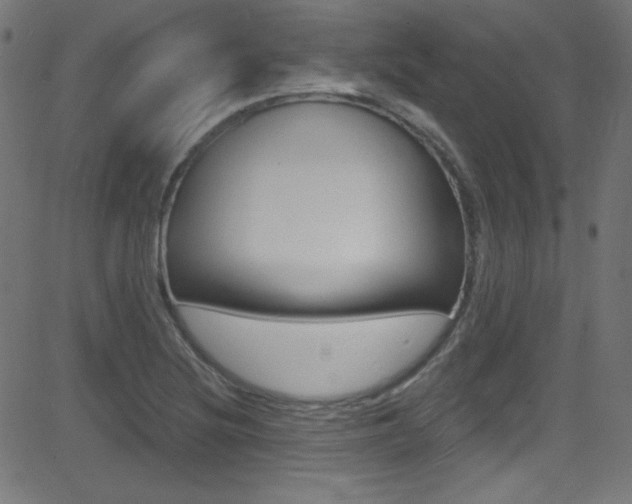 X0000081481220200701121032