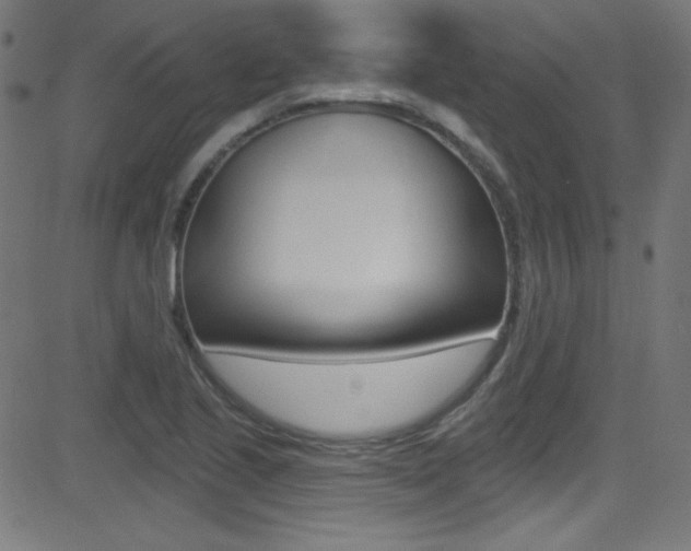 X0000081481221200701121032
