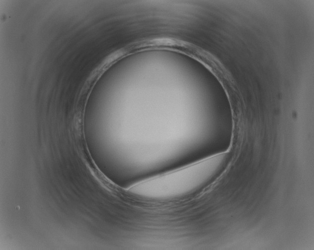 X0000081481225200701121033