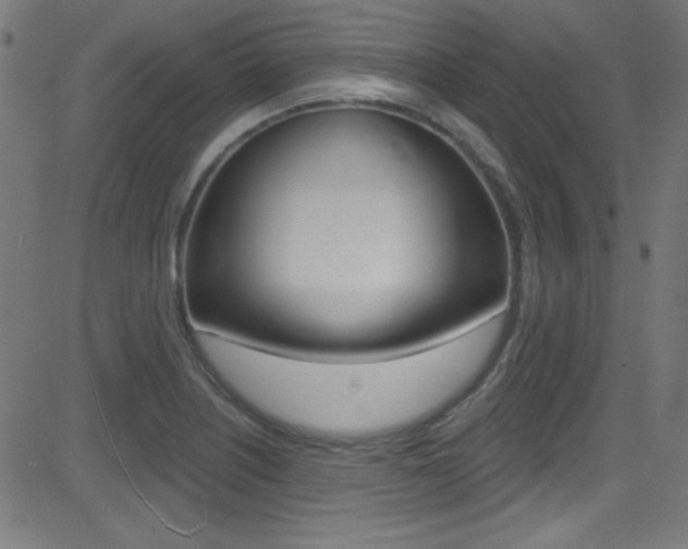 X0000081481226200701121033