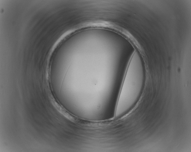 X0000081481232200701121033