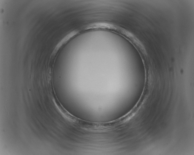 X0000081481233200701121033