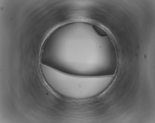 X0000081481236200701121033