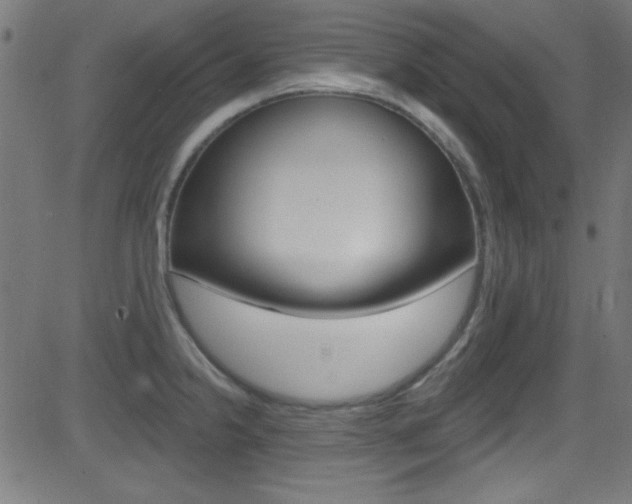 X0000081481238200701121033