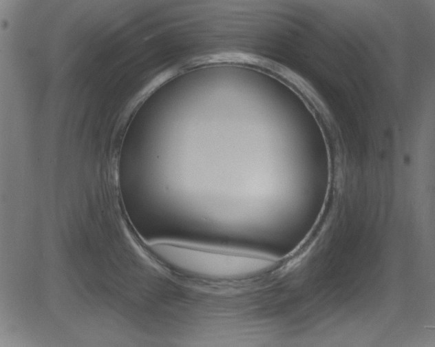 X0000081481241200701121033