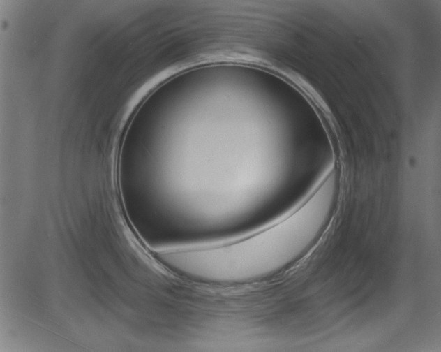 X0000081481246200701121033