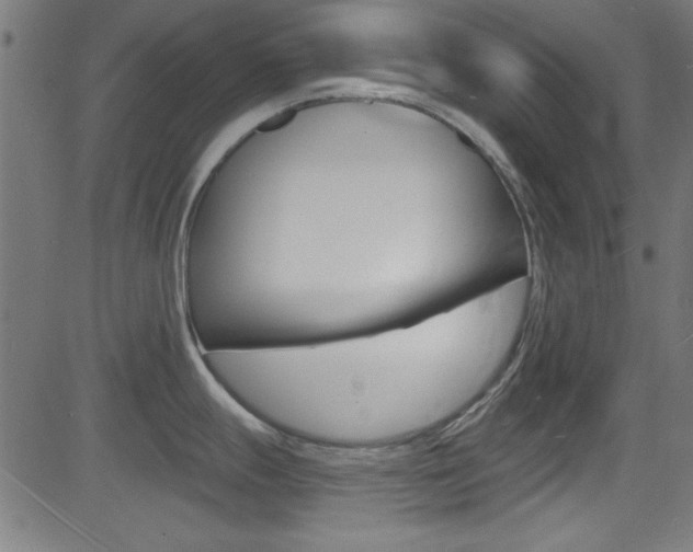 X0000081481247200701121033