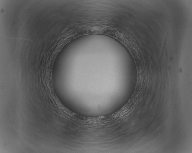 X0000081481249200701121032