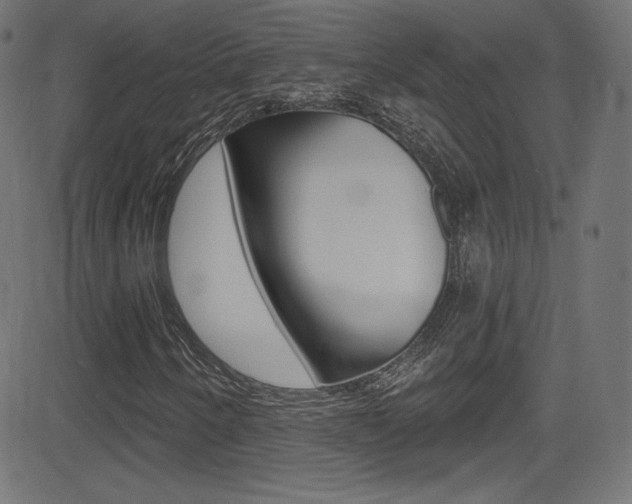 X0000081481250200701121032