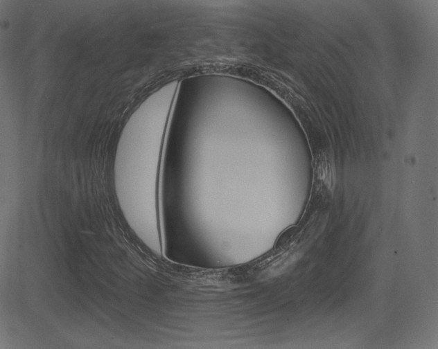 X0000081481252200701121032