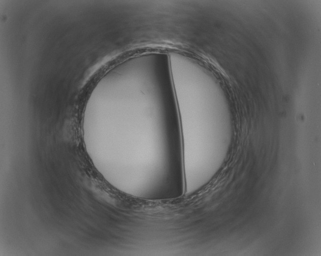 X0000081481256200701121032