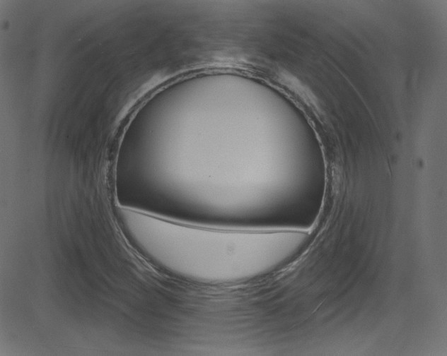 X0000081481260200701121032