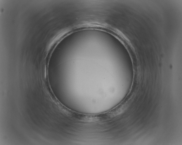 X0000081481269200701121032