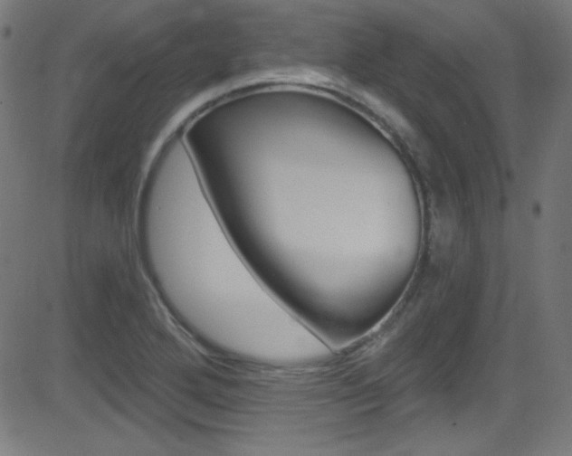 X0000081481272200701121032