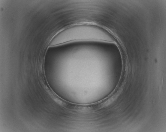X0000081481273200701121032