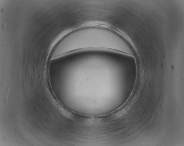 X0000081481277200701121032
