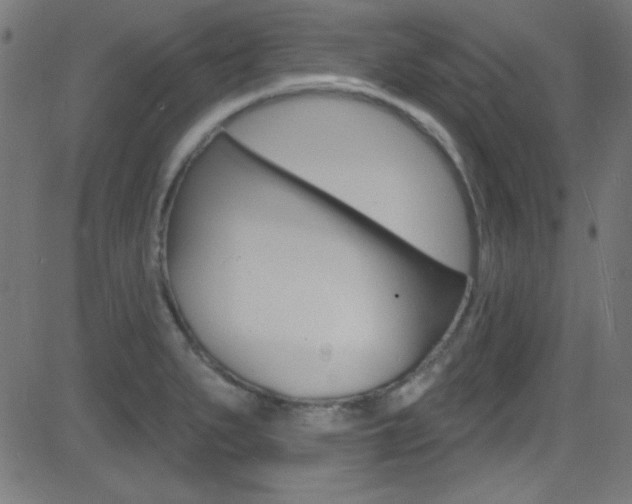 X0000081481279200701121032