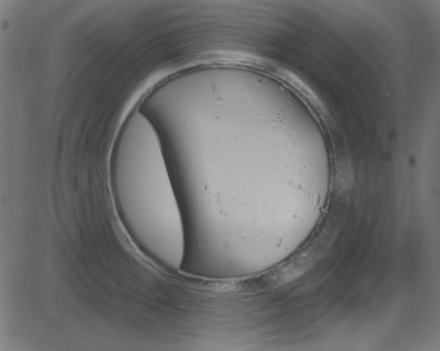 X0000081481283200701121032