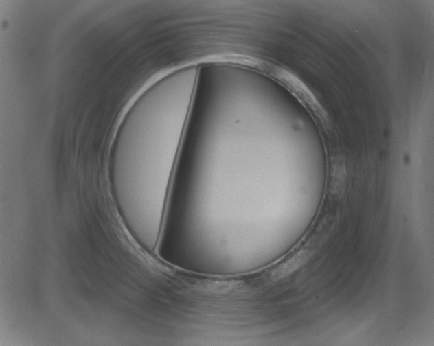 X0000081481284200701121031