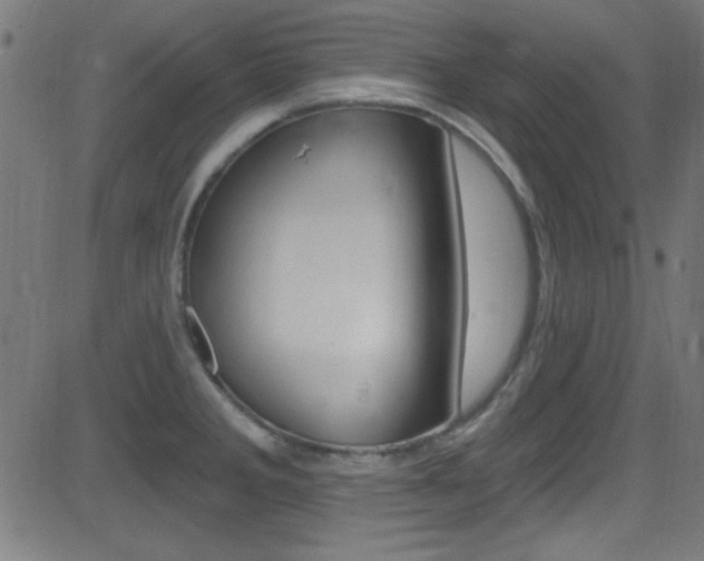 X0000081481285200701121031
