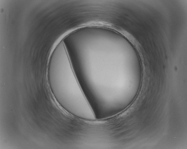 X0000081481296200701121031