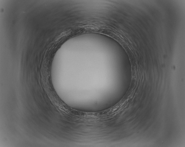 X0000081481297200701121030