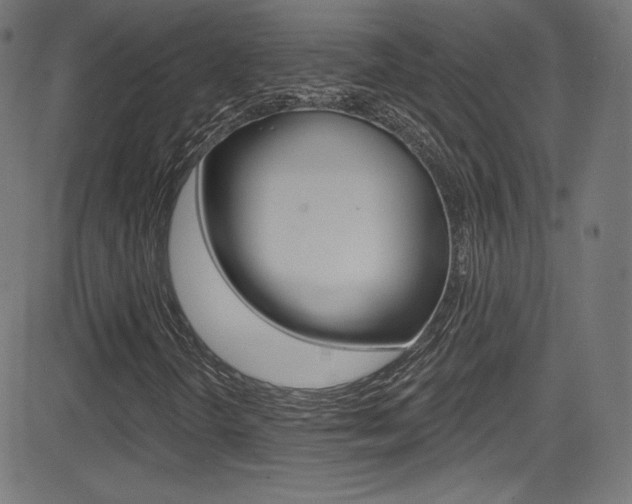X0000081481298200701121030