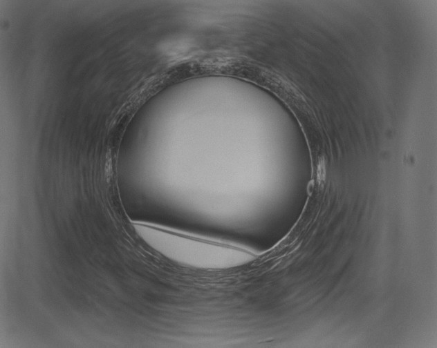X0000081481299200701121031