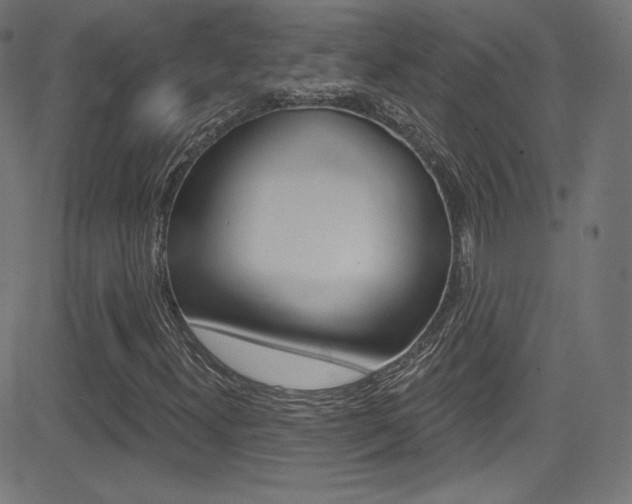 X0000081481300200701121031