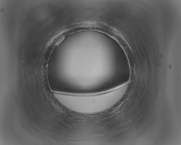 X0000081481304200701121031