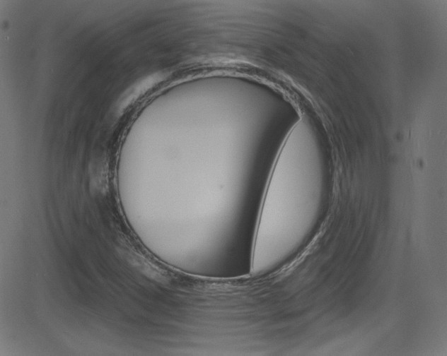 X0000081481306200701121031