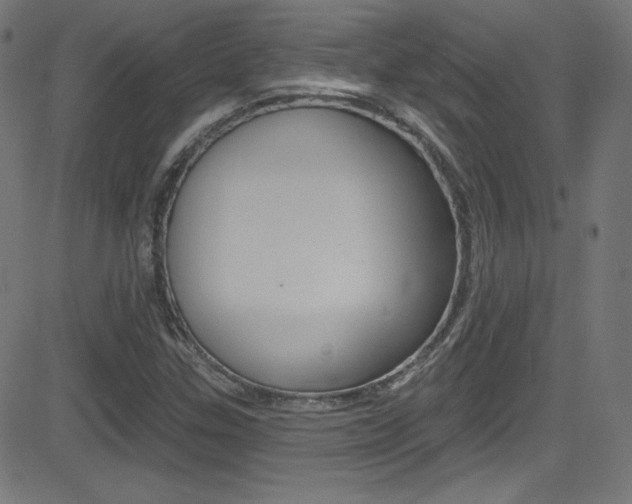 X0000081481307200701121031