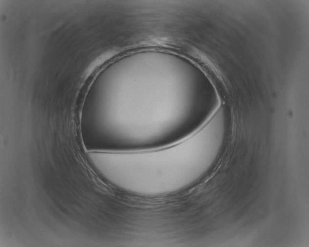 X0000081481308200701121031