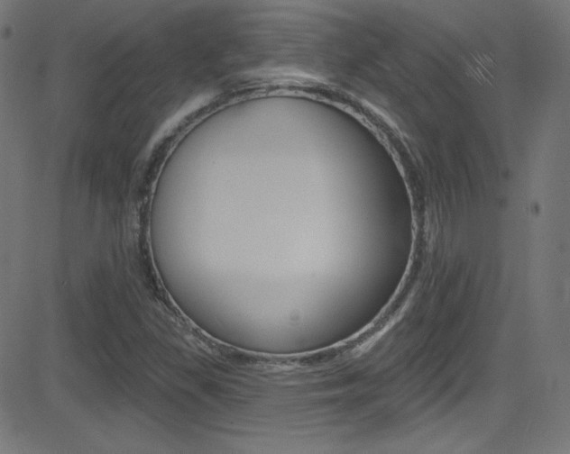 X0000081481309200701121031