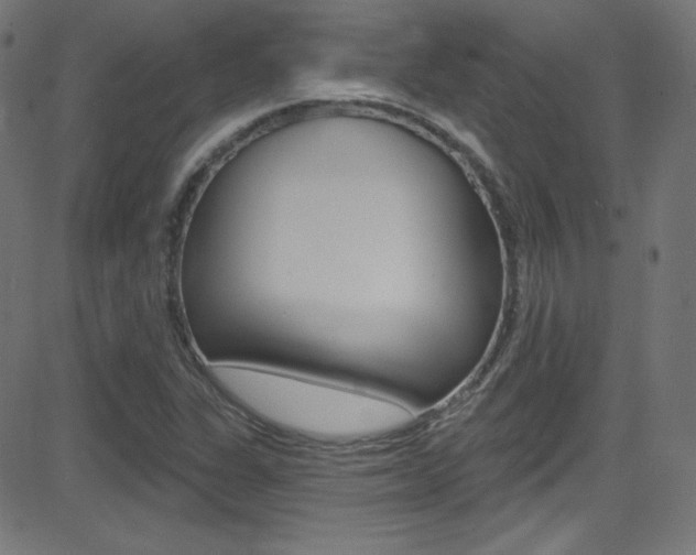 X0000081481311200701121031