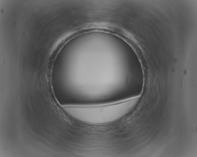 X0000081481312200701121031