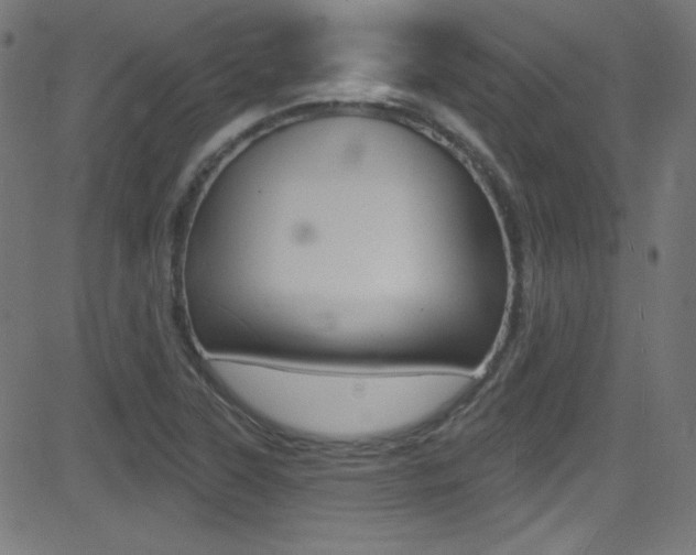 X0000081481315200701121031