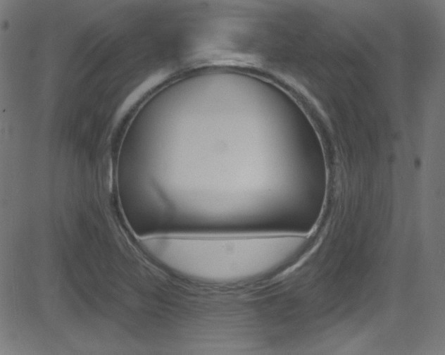 X0000081481317200701121031