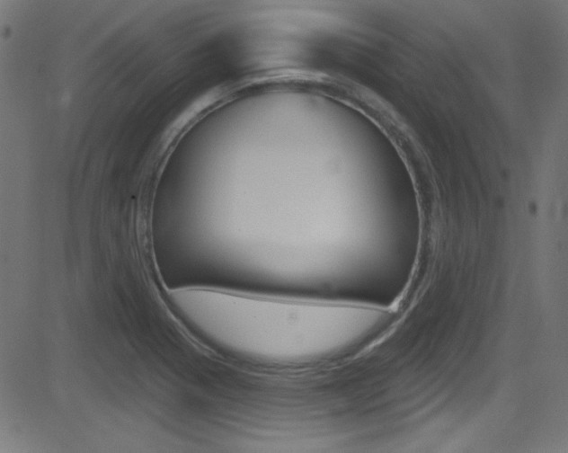 X0000081481321200701121031