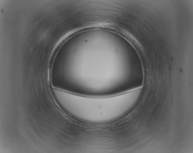 X0000081481324200701121031