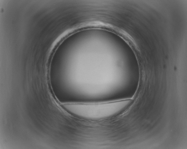 X0000081481326200701121031