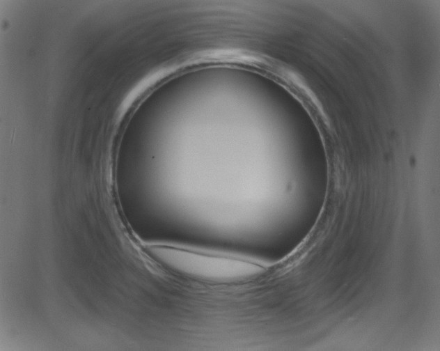 X0000081481328200701121031