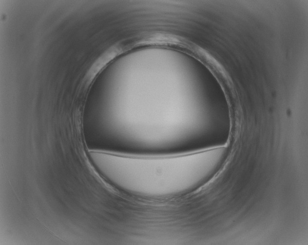 X0000081481329200701121031