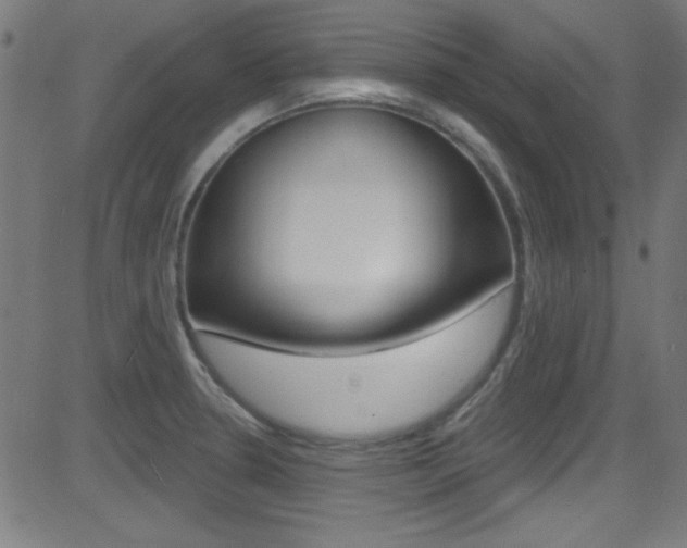 X0000081481330200701121031